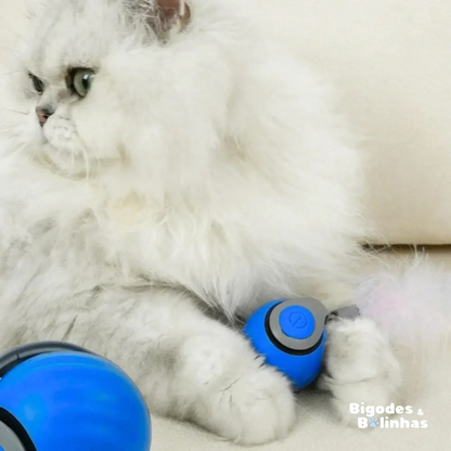 BOLINHA SUPERSÓNICA 2.0