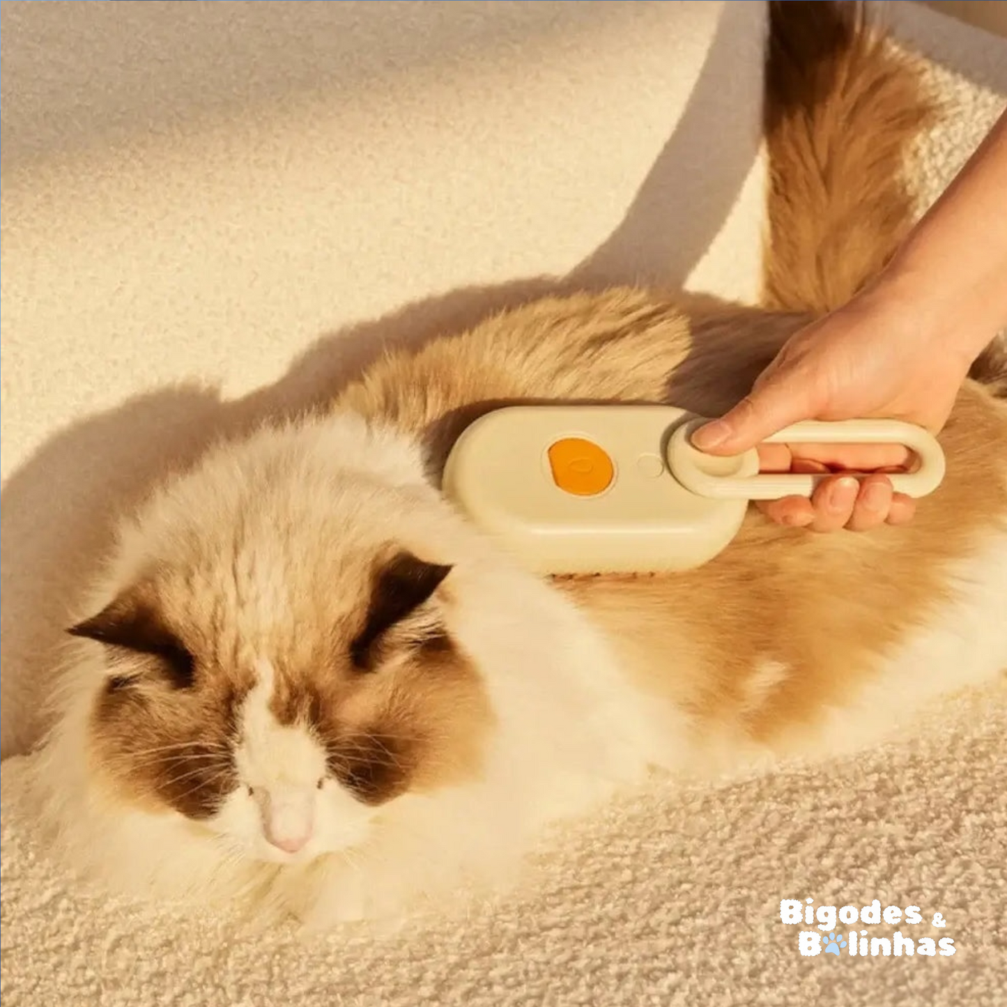 ESCOVA SUSPIRO DE NUVEM